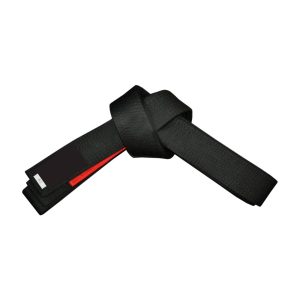 Karate Belts