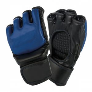 MMA Sparring Gloves